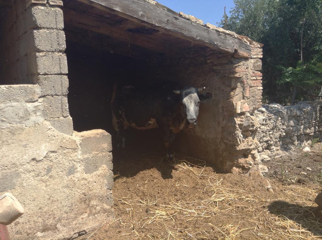 Antico Frantoio Βίλα Cerchiara di Calabria Εξωτερικό φωτογραφία
